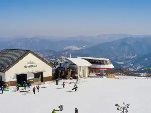 평창의 인기 베스트 4성급 호텔