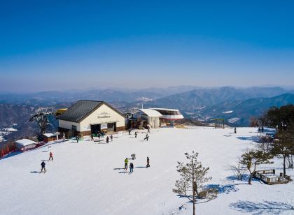 휘닉스 호텔 평창