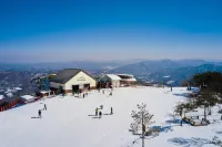 Phoenix Hotel Pyeongchang Hotels in 