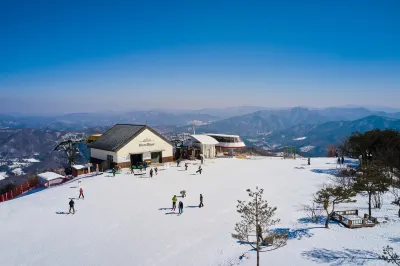 Phoenix Hotel Pyeongchang Hotels in 