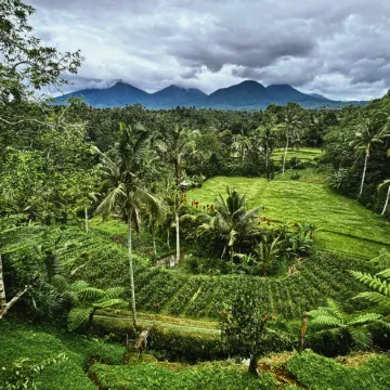 Four Mountains Villa Bedugul by AGATA