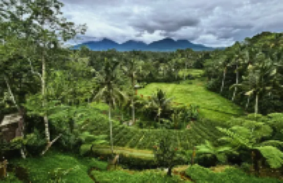 Four Mountains Villa Bedugul by AGATA