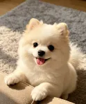 野三坡鐵哥們エコノミーホテル