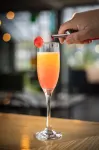 Carnmore Hotel Lower Hutt - bar