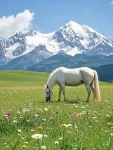 Cuigu Yimeng Homestay (Nalati Tourist Scenic Area Branch） - Mountain view