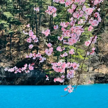 Yunfan Shanlan Retreat (Jiuzhaigou Scenic Area Visitor Center Branch)