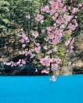 Yunfan Shanlan Retreat (Jiuzhaigou Scenic Area Visitor Center Branch) - โรแมนติก