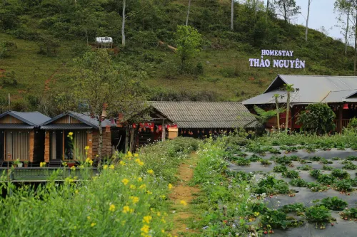 Thao Nguyen Homestay Ta Xua - 2 星級