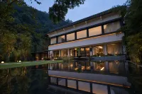 Self-Healing Forest Therapy - spa
