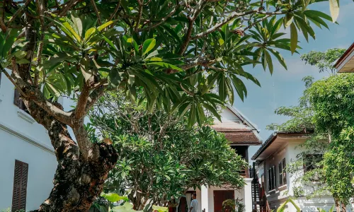 Victoria XiengThong Palace