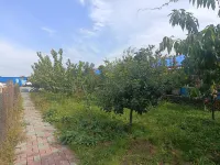 Hunchun City Warm Planting Family Farm