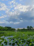 Huaxin International Hotel Hotels in Jiyang District