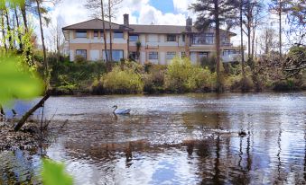 Killarney View House B&B