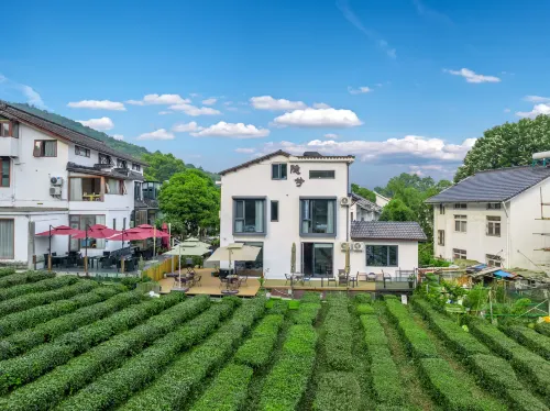 Hangzhou Yinxi Tea House (West Lake Lingyin)