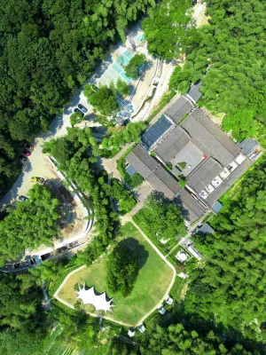 杭州海鳥天地民宿