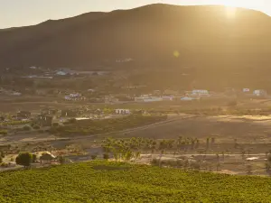 โรงแรมหรูยอดนิยมในเอนเซเนดา