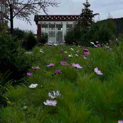 德欽觀景天堂大飯店 Hotel Exterior
