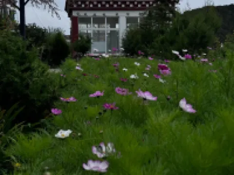 德欽觀景天堂大飯店 飛來寺附近的飯店