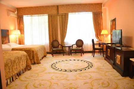Hotel Royal Florence Отели в г. Кишинев