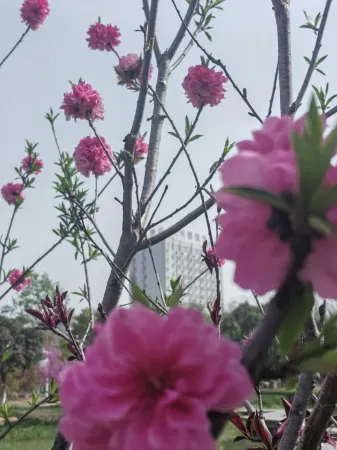 Anlu Mingbo Xinyi Hotel (Anlu Secondary Vocational School Branch)