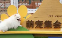 Hengdian Xigu Glamping Tent Hotel - Kuntosalit