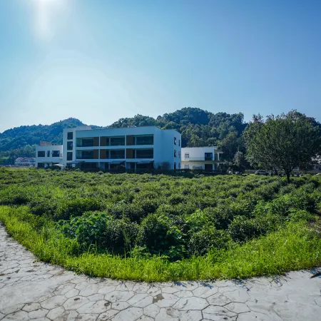Xishui Bieyuan Tea-themed Stay (Dong Shisun Scenic Area)