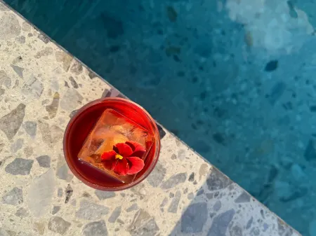 21 ハウス オブ ストーリーズ ナヴィッリ