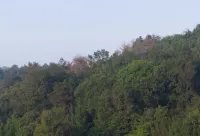 Shuibang Impression Hotel - Mountain view