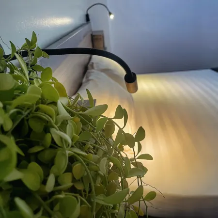 Hanoi EcoStay 2 Hostel