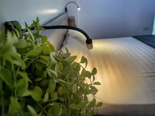 Hanoi EcoStay 2 Hostel - Hostellit