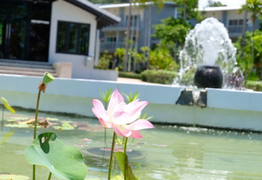 아라완 리조트 수영장 전경