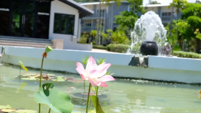 Arawan Beach Resort Krabi