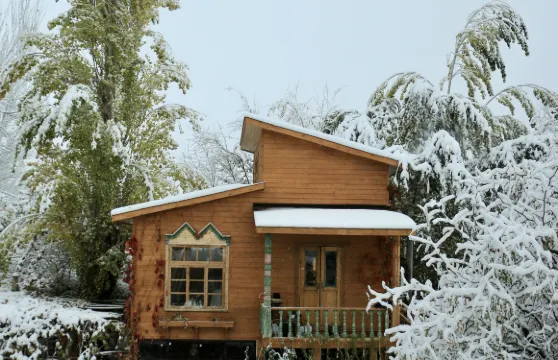 霍城見樹民宿（晃晃村店）