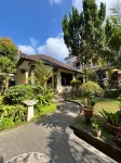 Nyuh Gading Accommodation - Morgenmad
