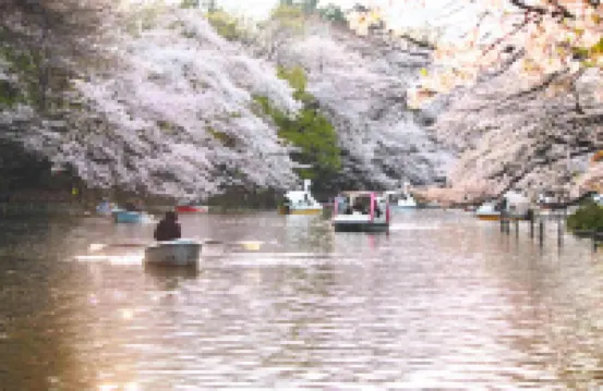 Yumenoya Kichijoji