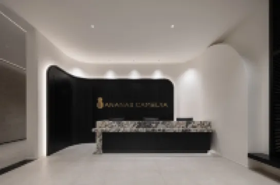 AnanasCamelia安舍·凱米里飯店（東風廣場南屏步行街店）