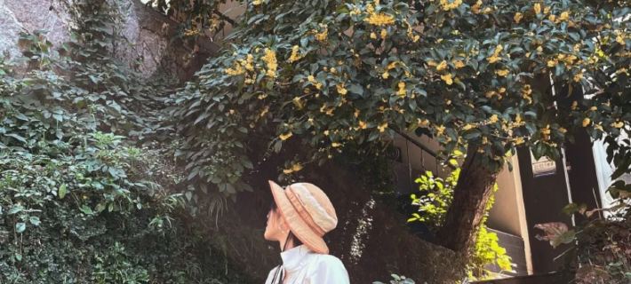 Xihu Jianxiang Homestay (Longjing Guiyu) Hotele w: Hangzhou