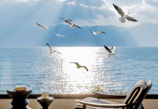 丽思漫·芙罗拉海景酒店（洱海双廊店）外景图