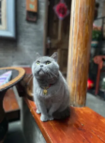 Suzhou Little Courtyard Inn