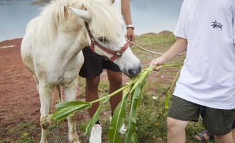 Karen·Qiandao Lake Hotel (Yacht Sailing Island Manor)