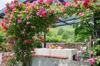 Fengshu Holiday Guesthouse