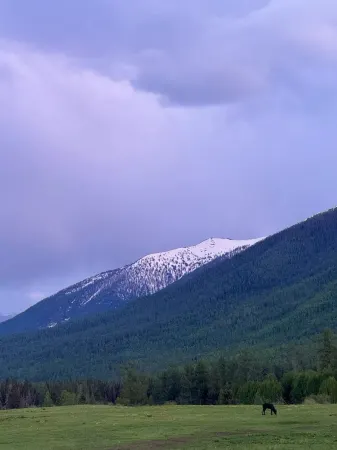 Kanas'an Yuyinshi Homestay Отели рядом с достопримечательностью «Xinjiang Kanas National Geopark»