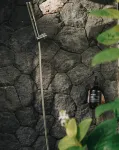 Kula Kara Villas Uluwatu New Kuta Golf 주변 호텔