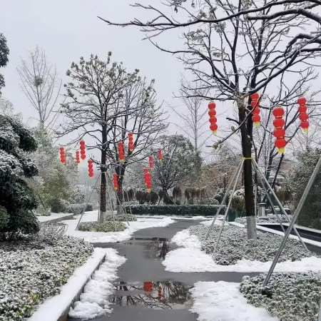 Baling Yonghu Manor (Dongting Lake China Panda Garden)
