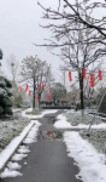 巴陵·邕湖莊園飯店（洞庭湖中華熊貓苑店） 住宿飯店