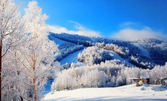 Hyatt Regency Changbaishan