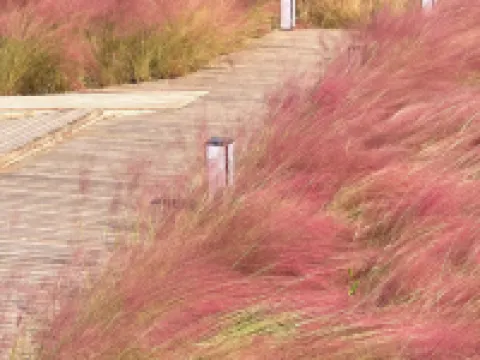 廣東翡翠灣白天鵝溫泉度假飯店 廣寧住宿飯店