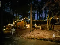 Duck Farm · The Lodge In Woods