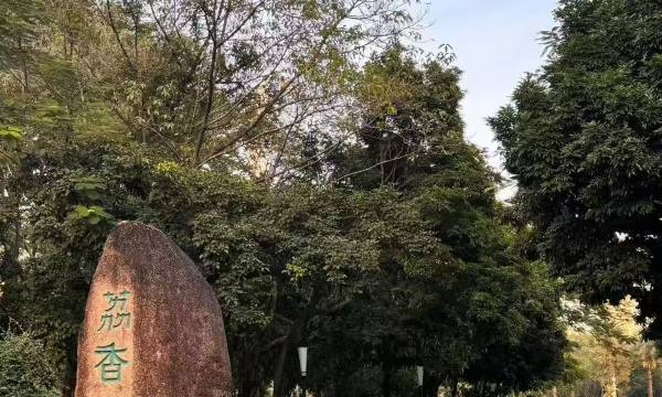 Qiuguo S Hotel (Shenzhen Science and Technology Park Nantou Ancient City)