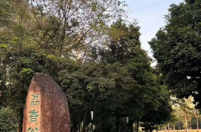 Qiuguo S Hotel (Shenzhen Science and Technology Park Nantou Ancient City)